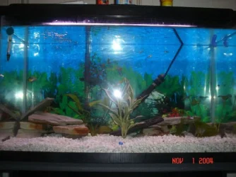 rmtank.webp