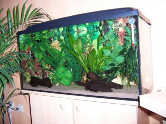 30gallon.JPG