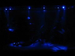 Picture_001.jpg