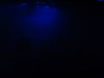 moonlighting_004.jpg
