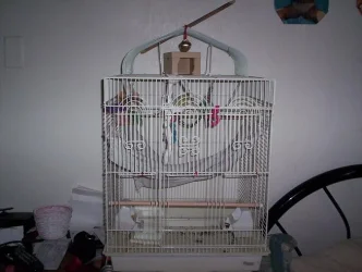 100_3397.webp