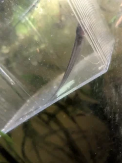 1768985892074.webp