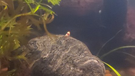 20260212_185815.jpg 20260212_185815.jpg