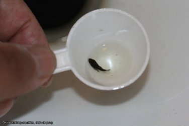 66800135_905854839765609_6930340940854853632_n.jpg 66800135_905854839765609_6930340940854853632_n.jpg