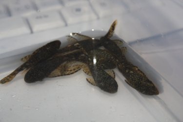 355705200_1991273647890384_4183465171459865346_n.jpg 355705200_1991273647890384_4183465171459865346_n.jpg