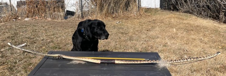 unbraced profile.jpeg