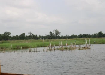 fishtrap1.webp