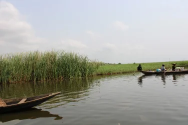 fishing canoes.webp