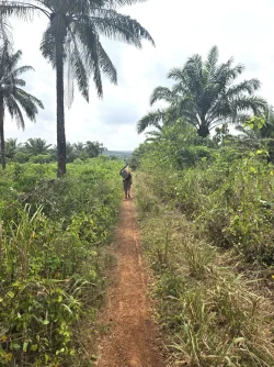 walkingin.webp