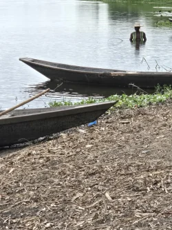 fisherman.webp