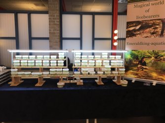 1F141234-D869-43A1-BECC-75ABB3EF2B58.jpeg 1F141234-D869-43A1-BECC-75ABB3EF2B58.jpeg