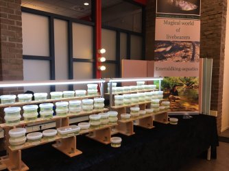 248B8AB3-428A-4A9F-8C29-CE05BCDBAE73.jpeg 248B8AB3-428A-4A9F-8C29-CE05BCDBAE73.jpeg