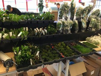 6E3CF0F7-FA12-47E2-8379-F812F605ECAC.jpeg 6E3CF0F7-FA12-47E2-8379-F812F605ECAC.jpeg