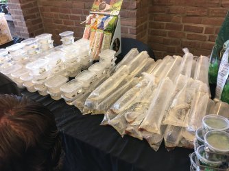 DC14559A-3C60-4707-A618-1CB784F14621.jpeg DC14559A-3C60-4707-A618-1CB784F14621.jpeg