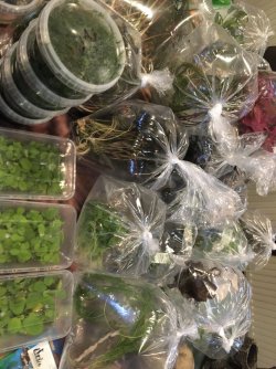 570F408D-4EAF-43CD-853D-FDBDCFDB81E2.jpeg 570F408D-4EAF-43CD-853D-FDBDCFDB81E2.jpeg