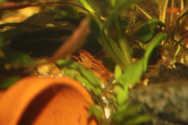 IMG_9461.JPG IMG_9461.JPG