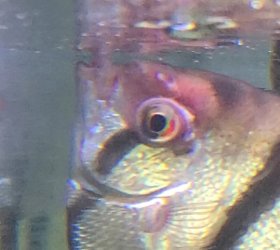 Screenshot_20260411_144524_Video Editor.jpg