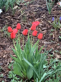 IMG_9724.jpeg
