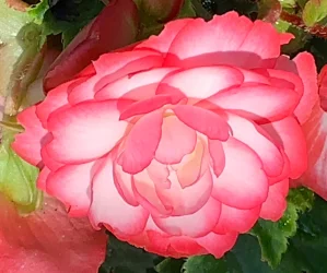 IMG_1158.webp