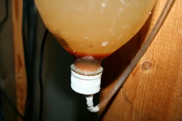 hatchery1 (640x427).webp