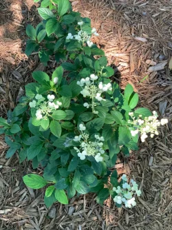 IMG_1080.webp IMG_1080.webp