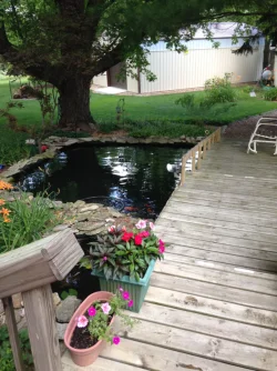 IMG_0055.webp IMG_0055.webp