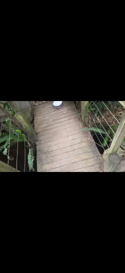 Screenshot_20260918_224314_Gallery.webp