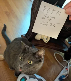 ENTER NOW - September 2026 Pet of the Month Contest