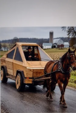 buggy.webp