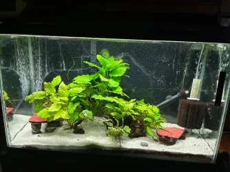 ENTER NOW: October 2026 Tank of the Month Contest (17-30 US Gallons)