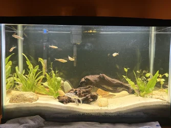 ENTER NOW: October 2026 Tank of the Month Contest (17-30 US Gallons)