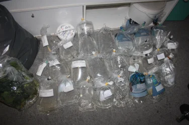 IMG_0302.webp IMG_0302.webp