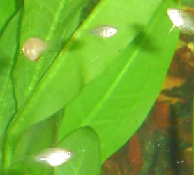DSC01166.webp