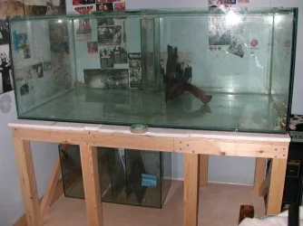 DSCN3957.webp