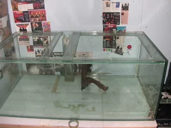 DSCN3960.webp