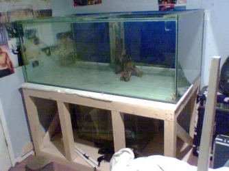tank_bg2.webp