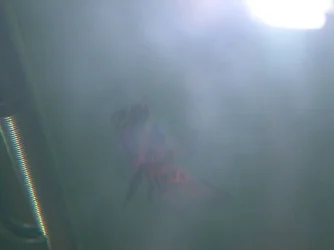 DSCN3983.webp