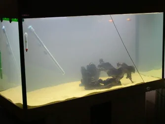 DSCN3985.webp