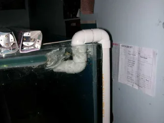 DSCN3990.webp