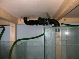 DSCN3993.webp