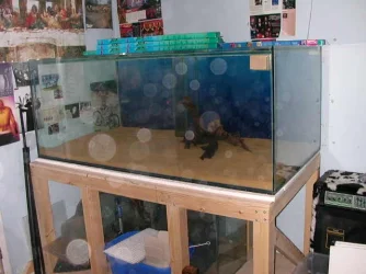 DSCN3999.webp