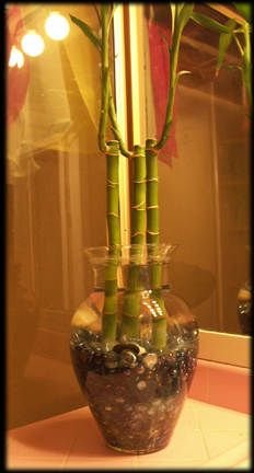 bowl1a.jpg