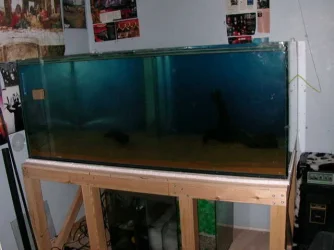 DSCN4000.webp