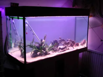 DSCN4015.webp