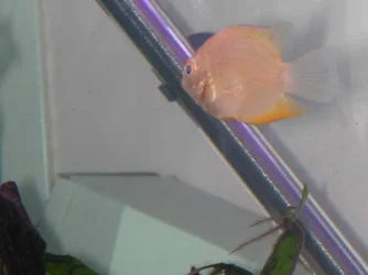 DSCN4024.webp