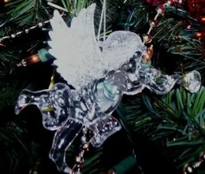 102_3743.webp