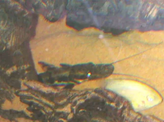 DSCN4043.webp