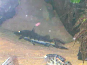 DSCN4044.webp