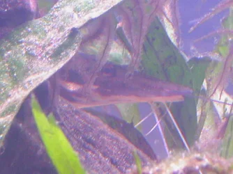 DSCN4055.webp