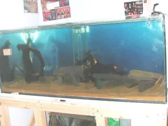 DSCN4063.webp